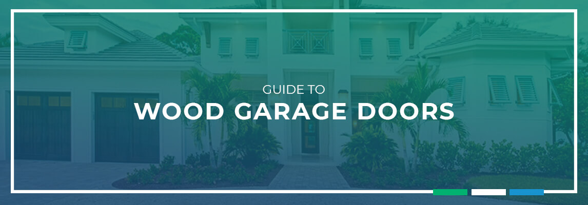 Blog - Tampa, FL Homeowner's Handy Spider Control Guide