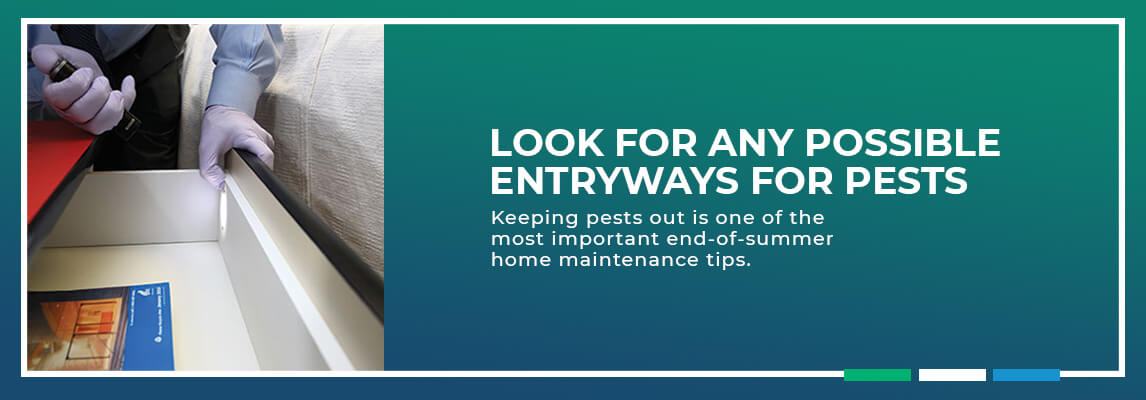 Look for Any Possible Entryways for Pests. Keeping pests out is one of the most critical end-of-summer home maintenance tips.