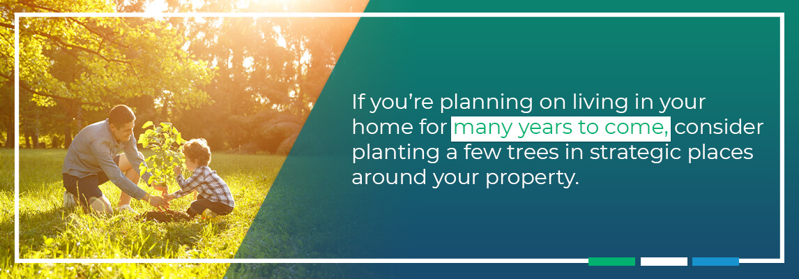 If you’re planning on living in your home for many years to come, consider planting a few trees in strategic places around your property.