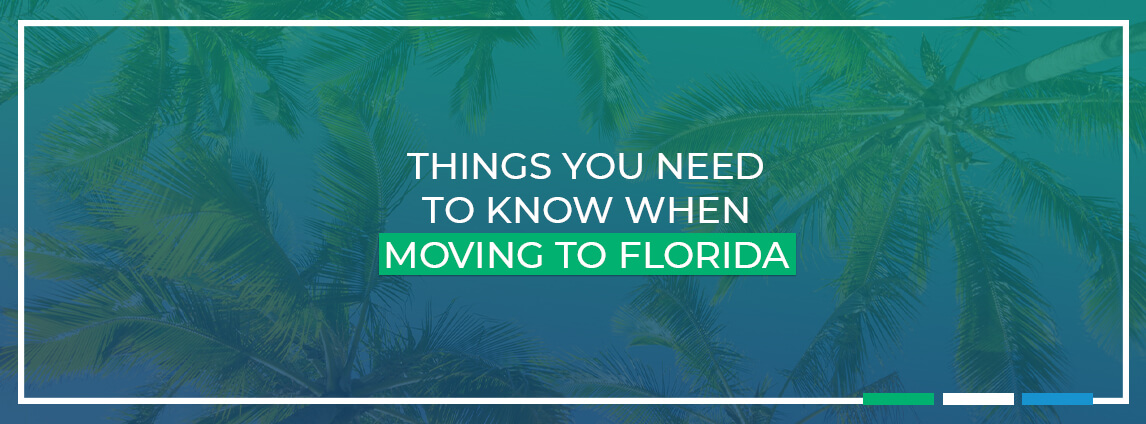A Floridian's guide to summer: Here's how we survive Florida's heat