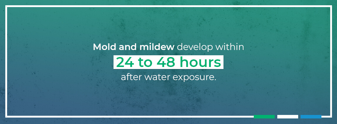 mold and mildew develop within 24 to 48 hours after water exposure