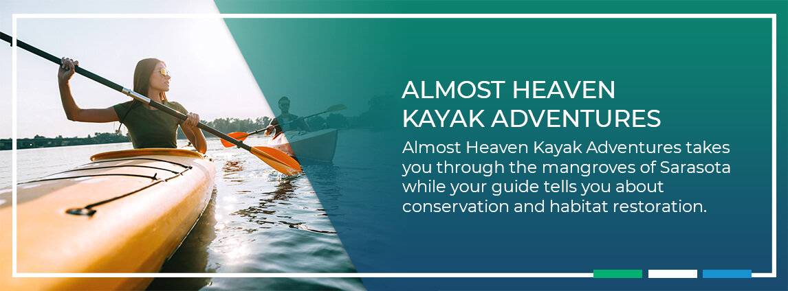 Almost Heaven Kayak Adventures takes you through the mangroves of Sarasota while your guide tells you about conservation and habitat restoration.