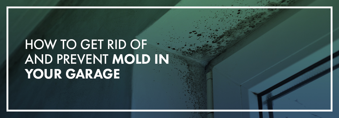How to Get Rid of and Prevent Mold in Your Garage