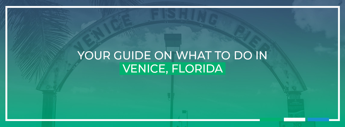 Your Guide on What to Do in Venice, Florida
