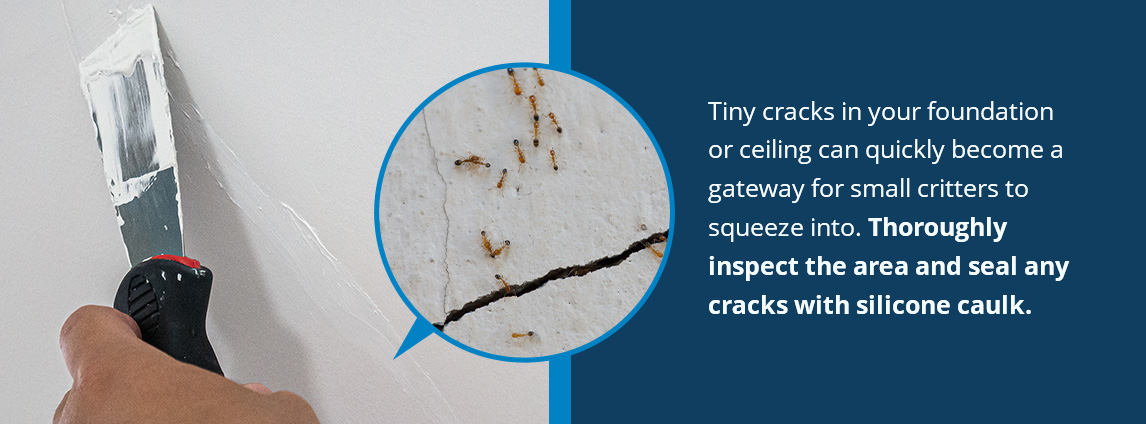 Tiny cracks in your foundation or ceiling can quickly become a gateway for small critters to squeeze into. Thoroughly inspect the area and seal any cracks with silicone caulk.